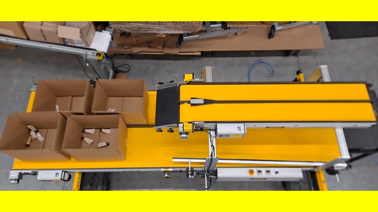 Multi Lane Counting Box Filler Conveyor System | By SmartMove® Conveyors