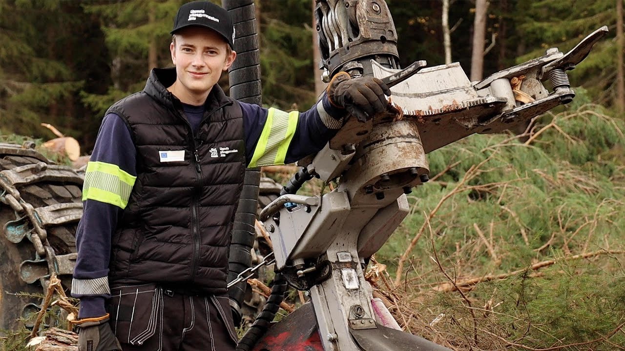 Naturbruk: Arbete med skogen