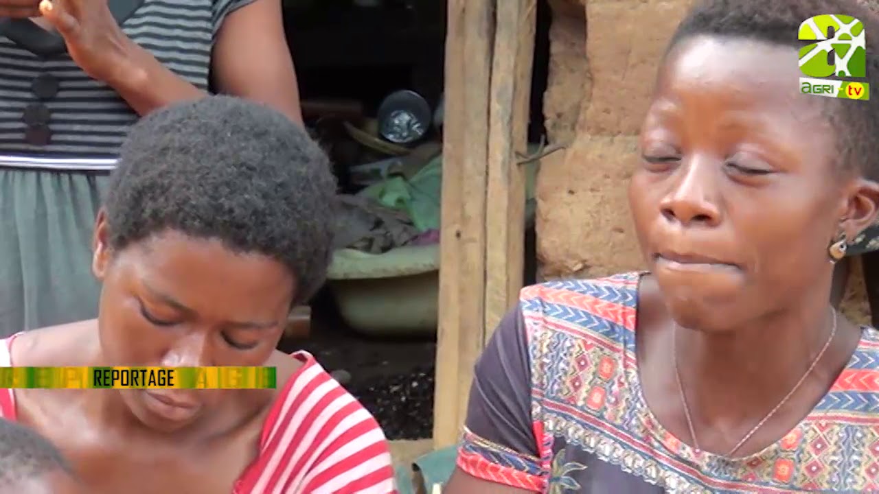 #Reportage au sujet du #Djansan sur #Agri-#TV.