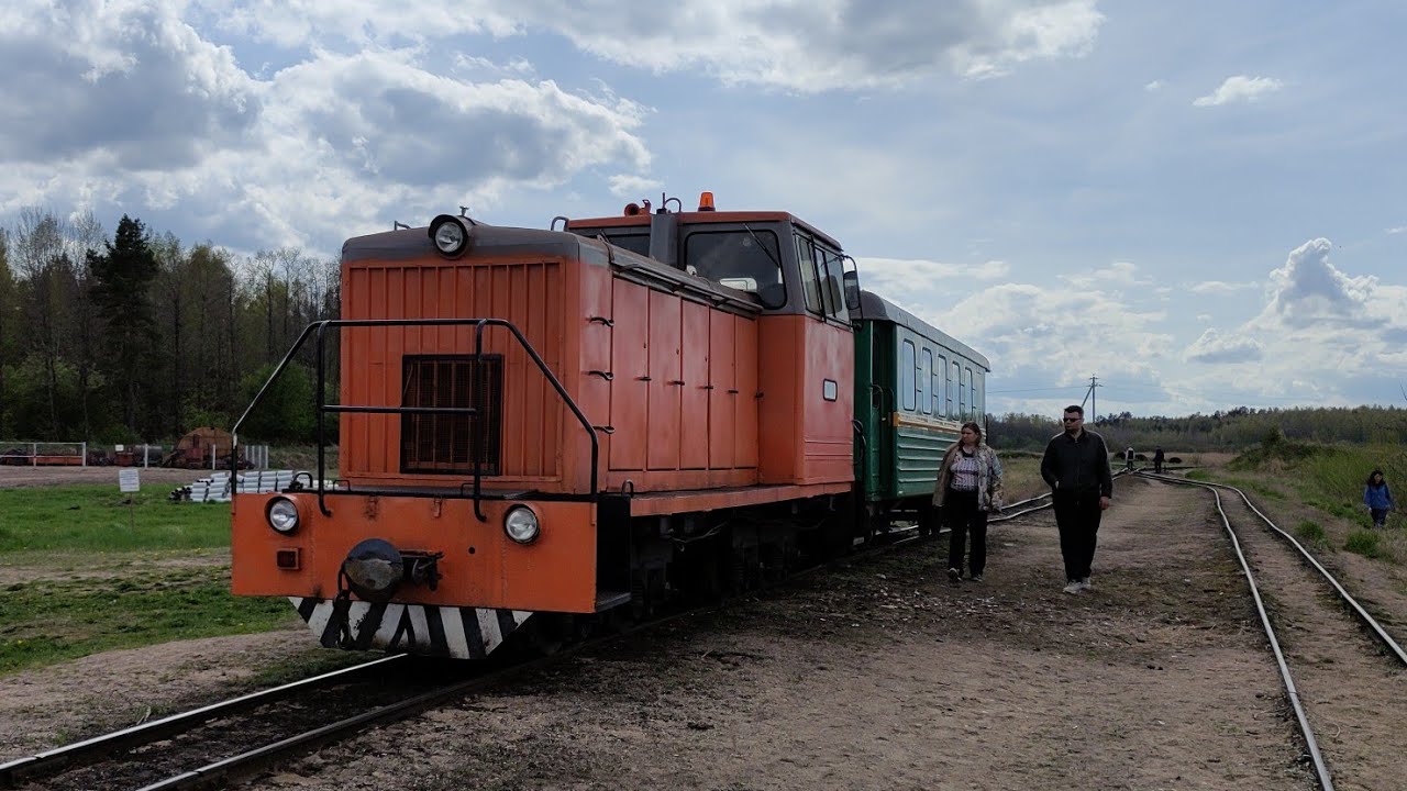 УЖД в Дитве (Дзітва), май 2022 | Narrow gauge railway of Ditva peat briquette plant, Belarus