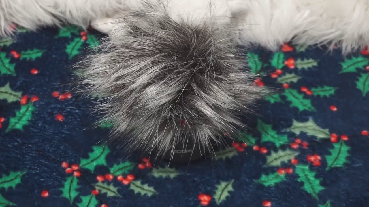 Egee's December Ramble About Nothing, Really | Soft Spoken Ramble + Fur Sounds 🎄