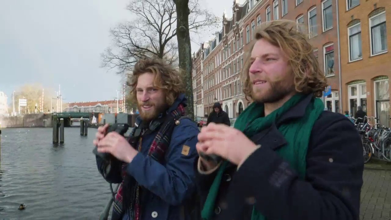 Vroege Vogels - Alle meeuwen verzamelen