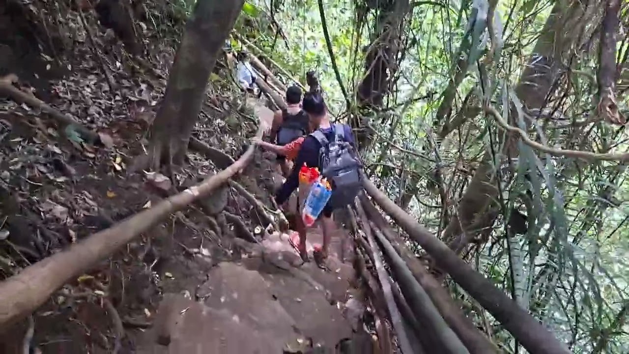 Way to hulugan falls louisiana laguna 