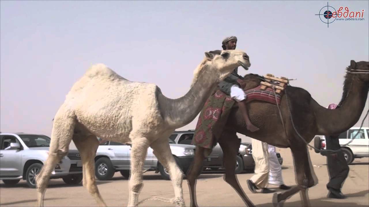 مسيرة 