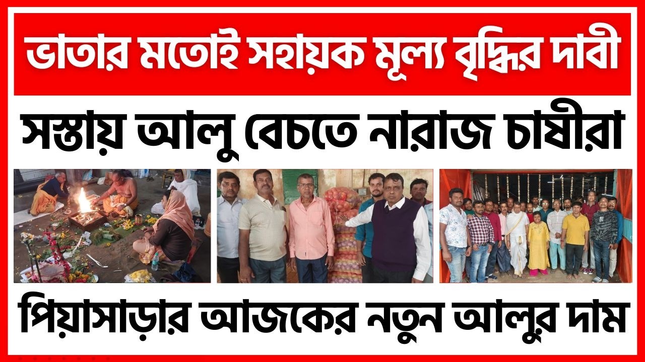 20/02/2026 : পিয়াসাড়ার আজকের নতুন জ্যোতি আলুর দাম | New Potato Price in Piasara - India Potato News