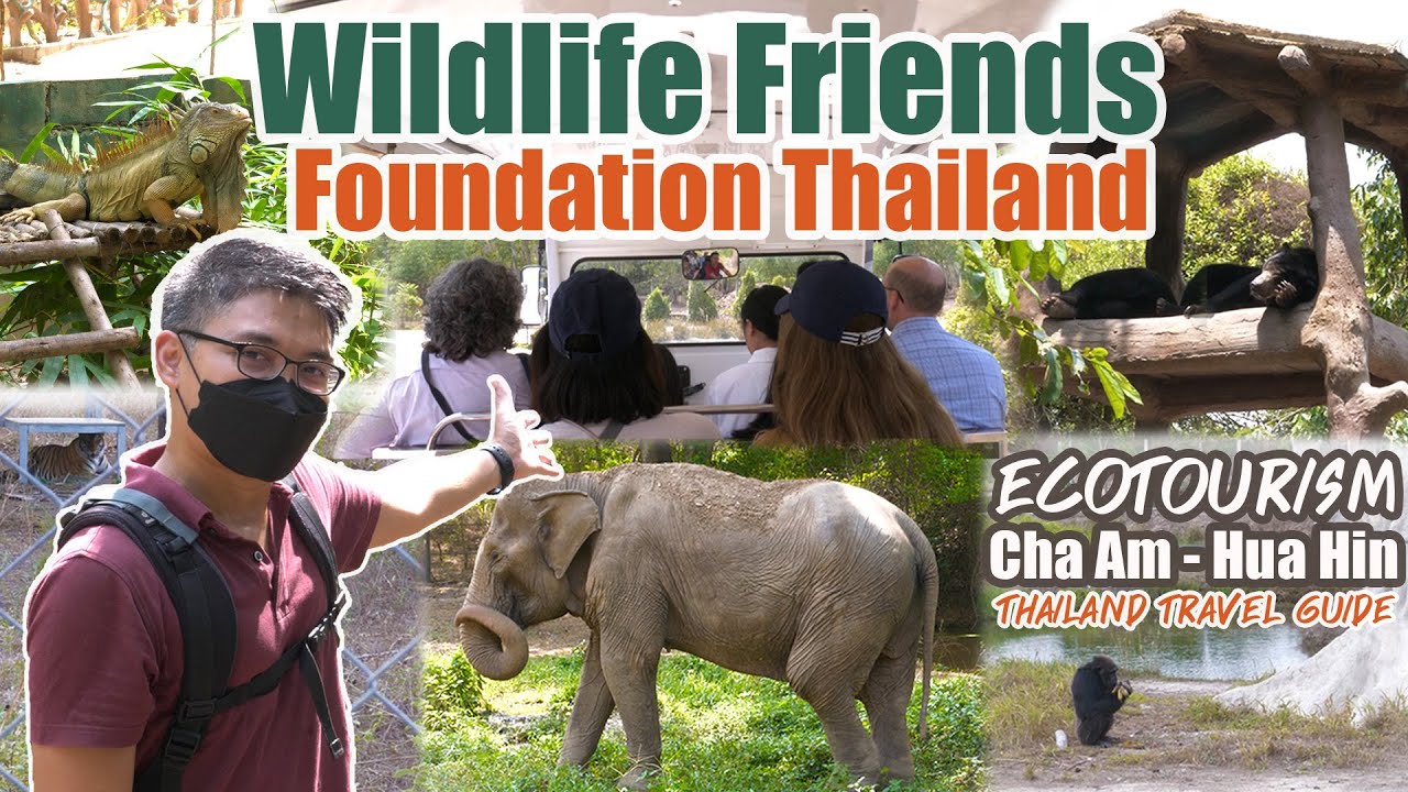 HUA HIN: Meet RESCUED ANIMALS and LEARN their NATURE at WILDLIFE FRIENDS FOUNDATION!