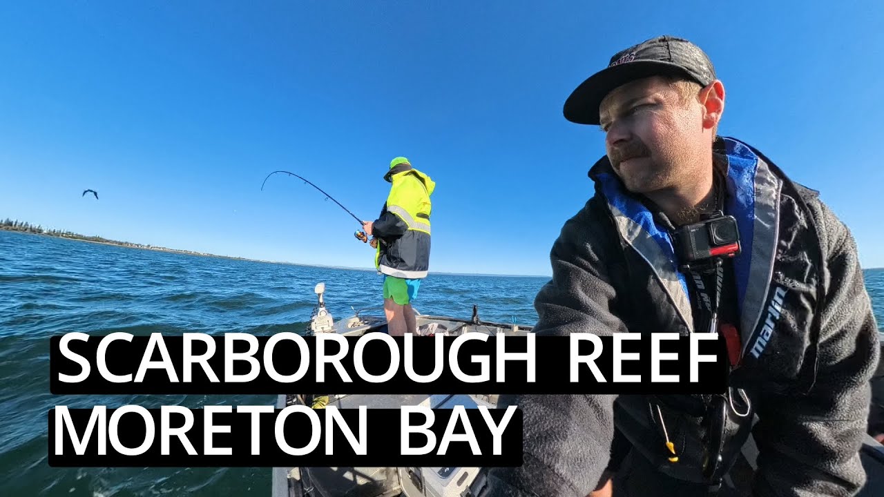 Fishing Moreton Bay | Scarborough Reef