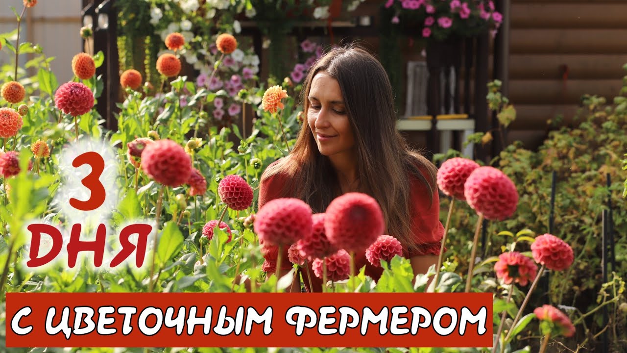 ТРИ ДНЯ с ЦВЕТОЧНЫМ ФЕРМЕРОМ 