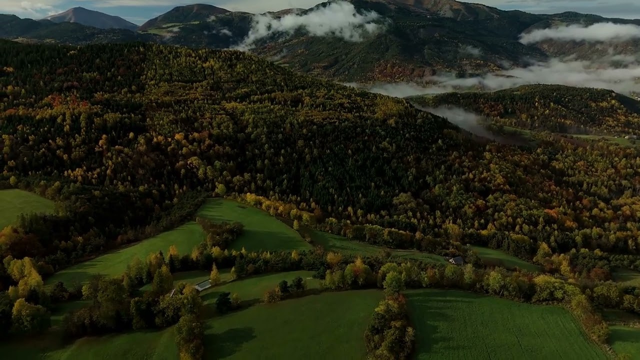 Un Matin d'Automne
