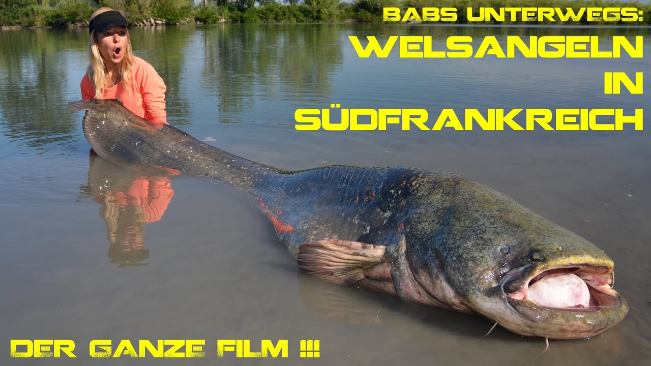 Welsangeln in Südfrankreich *GANZE DVD!!!*