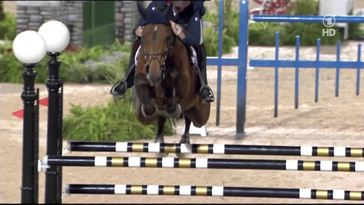 Olivier Guillon - Lord de Theize - WEG 2010 Ind 2