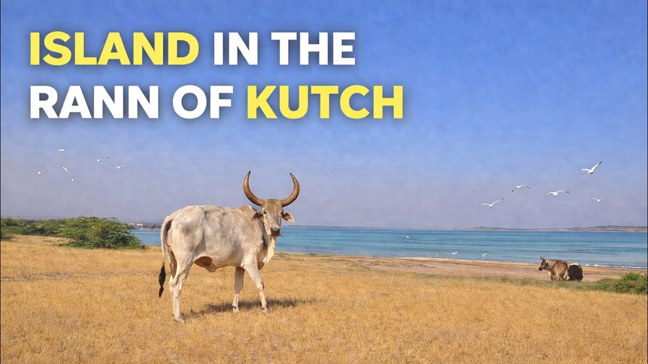 Island of Kutch | कच्छ का टापू | Aapandesh