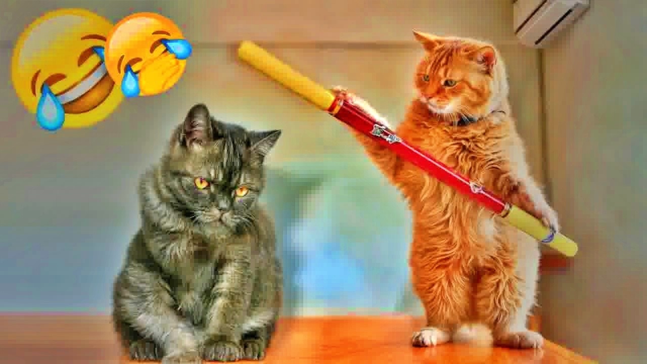 You Laugh You Lose😬🐶Funniest Dogs and Cats 2026😻