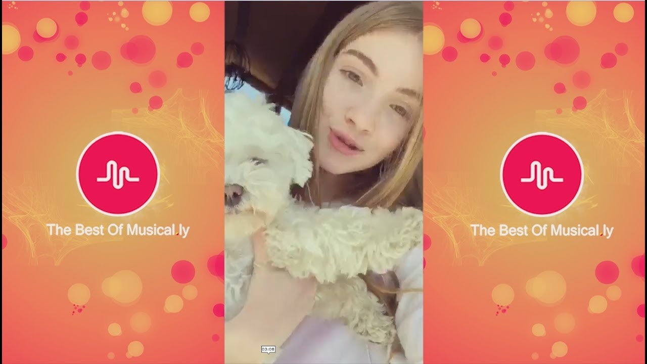 The latest musical.ly from Lauren Orlando -----  TheBestOfMusical.ly