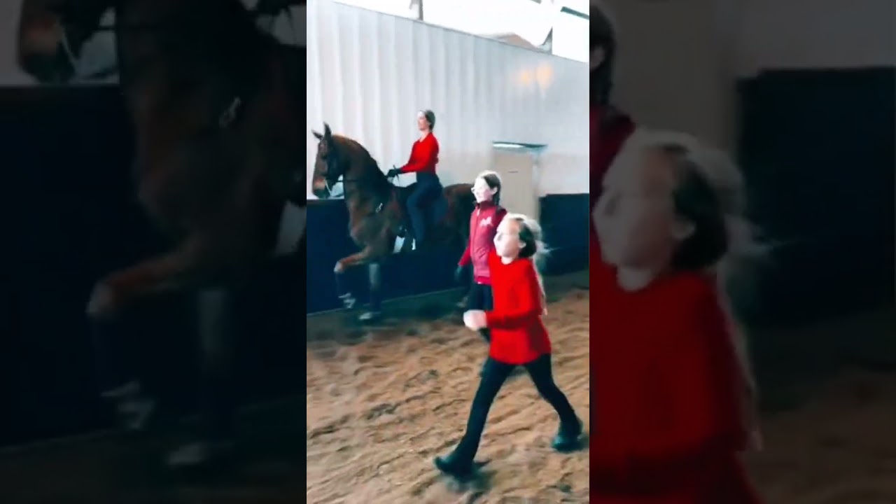 Slowest Canter You've Ever Seen?