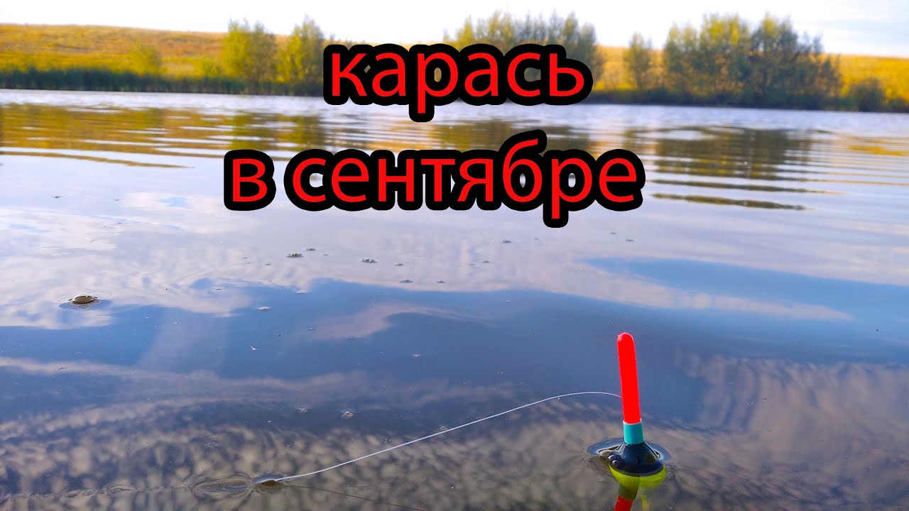 РЫБАЛКА НА КАРАСЯ в сентябре + БОНУСЫ