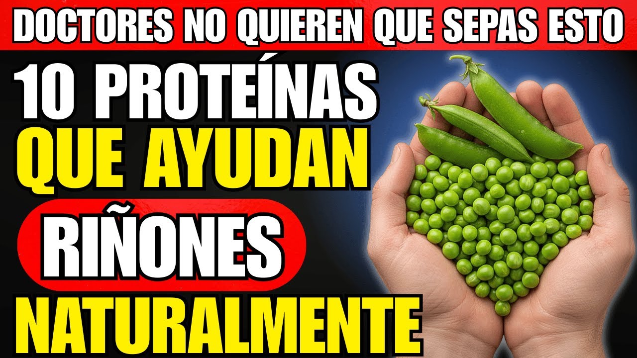Creatinina Alta: 10 Proteínas que PROTEGEN tus Riñones (fácil de encontrar)