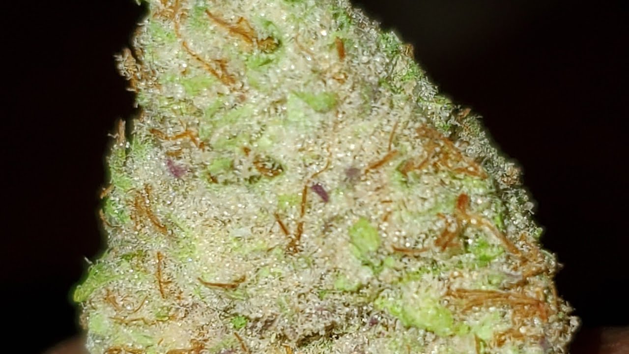 CHERRY PUNCH STRAIN