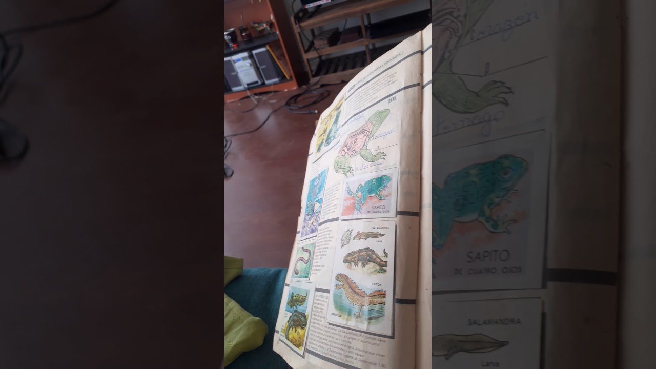 Album Flora y Fauna