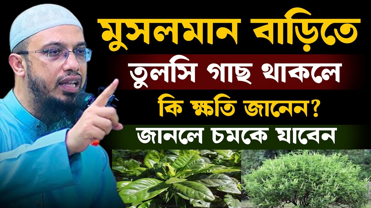 শায়খ আহমাদুল্লাহ sheikh ahmadullah 02-02-26bjkgttyu