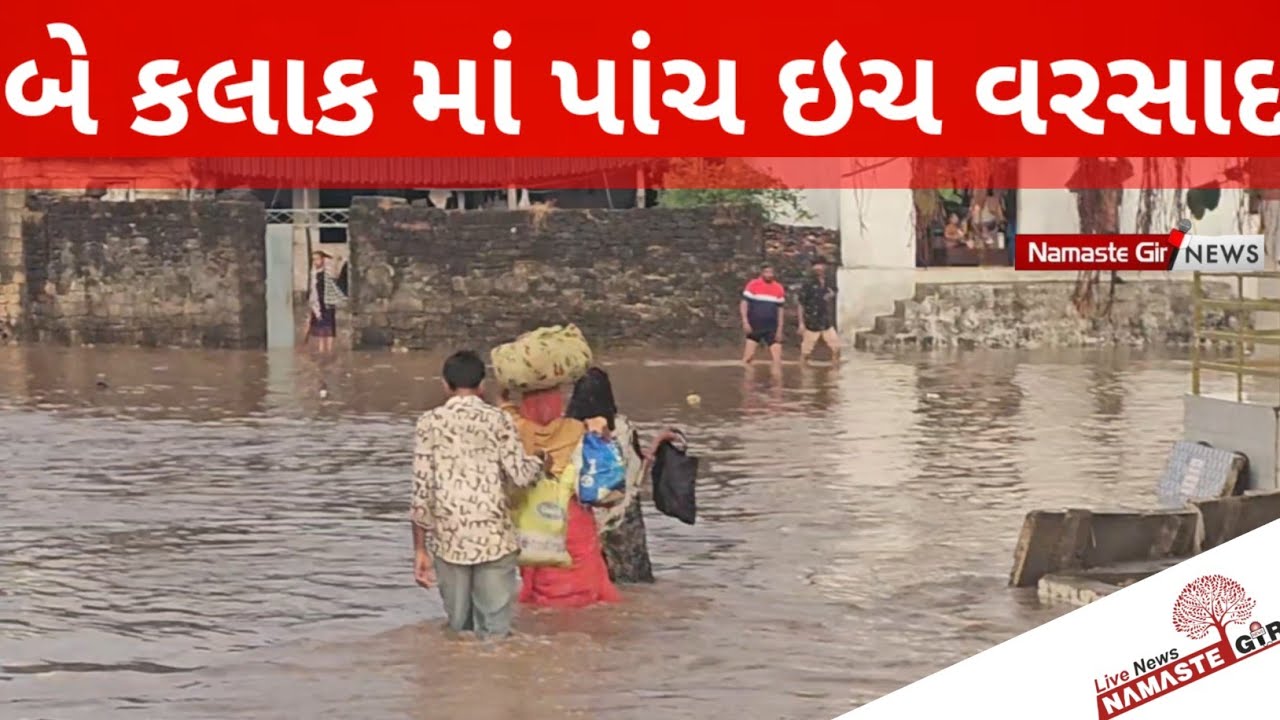 Monsoon ધોધમાર વરસાદ થી ખેડૂતો ના  હાલ બેહાલ