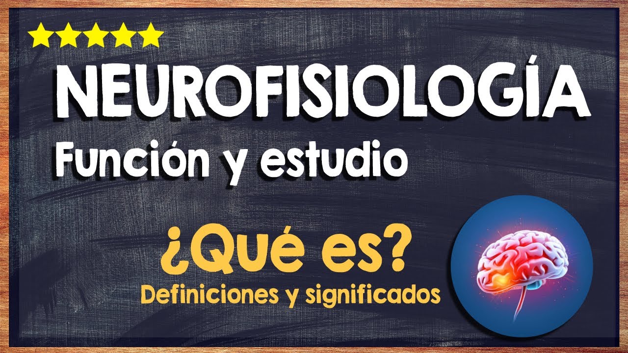 🙏 ¿Qué es la Neurofisiología? - Función y Estudio de la Neurofisiología 🙏