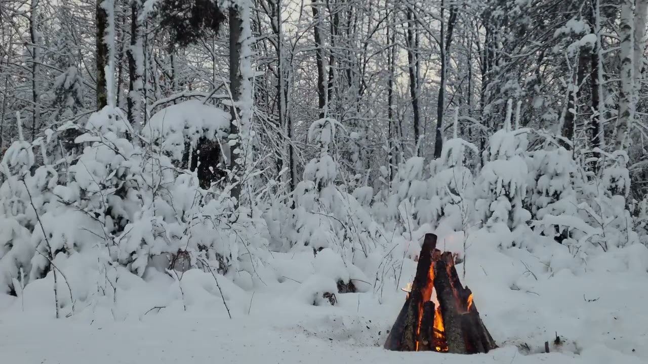 Winter Campfire in the Woods | Crackling Fire & Falling Snow | Relaxing Nature Sounds