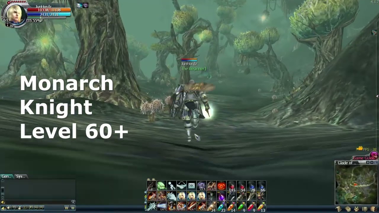 Priston Tale 2 - The progression path of a Knight (Valiant class) from level 10 to level 66