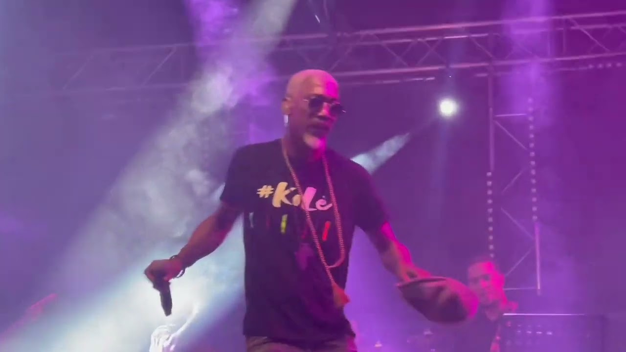 Dominique COCO et Jean-Michel ROTIN au festival TERRE DE BLUES (1ère version)