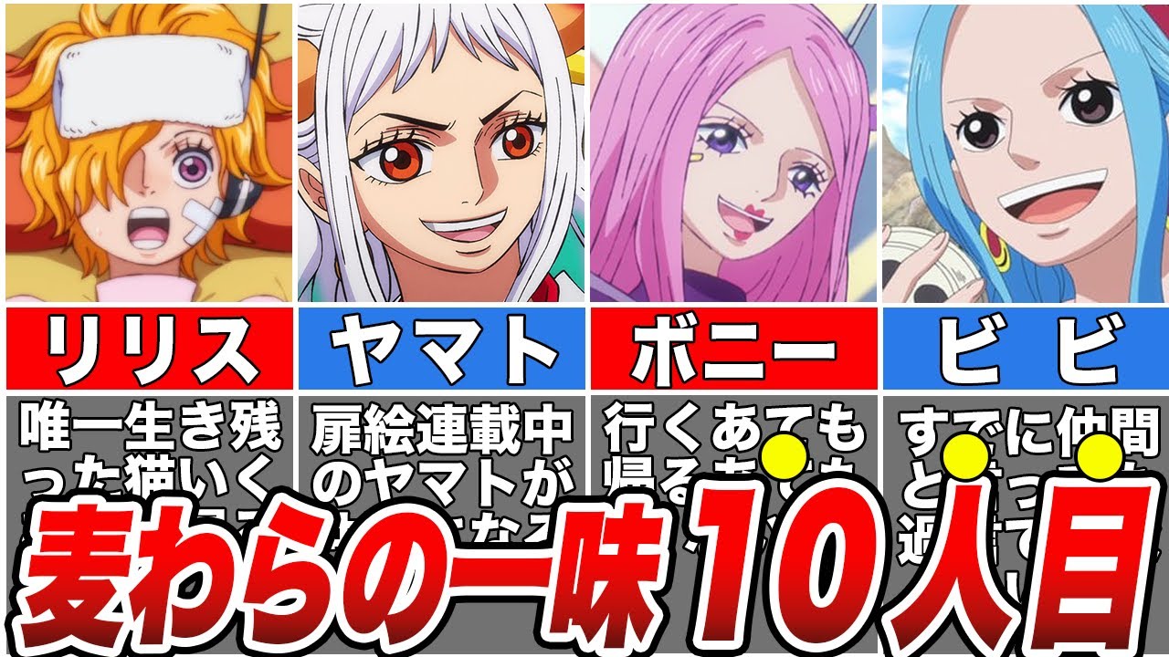 【ワンピース】麦わらの一味10人目の仲間は〇〇！作中一の謎最終結論【ゆっくり解説】