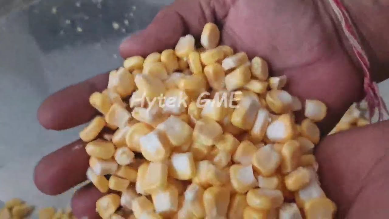 High-Speed Sweet Corn Seed Remover | Industrial sweet Corn Sheller Machine | Sweet Corn Peeling