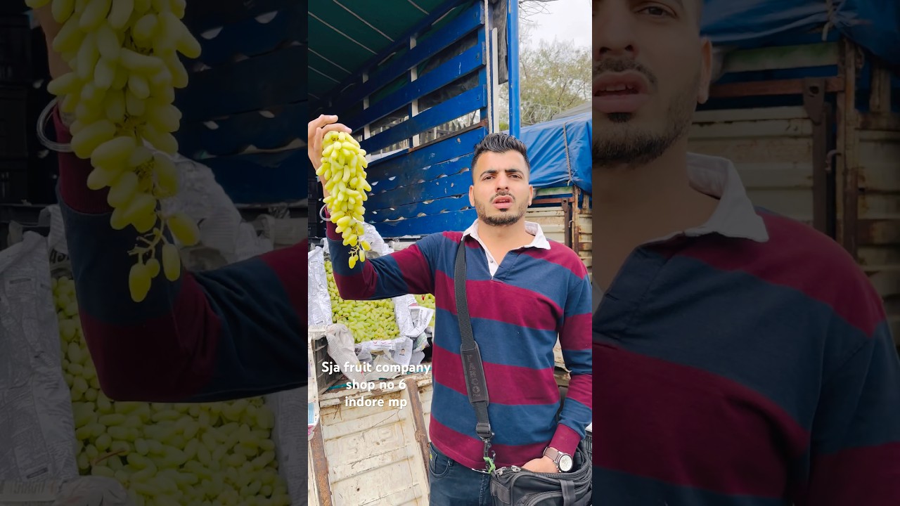 🍇अंगूर भाव इंदौर मंडी  // grapes update mp // #grapes #angure #fruit