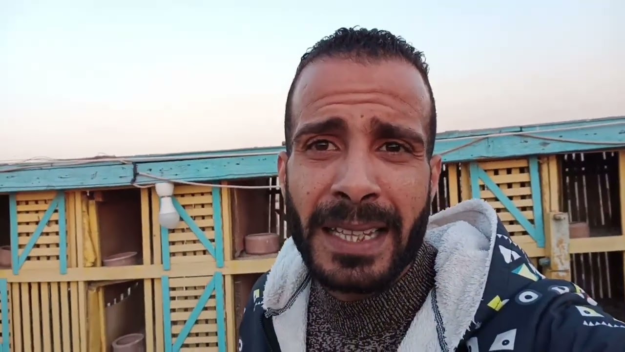 يوم جديد في الحد_وعاكس دره الحمام_تعالي نشوف الحلس وهو قاطع بره بيعمل ايه#حسين_الخطيب