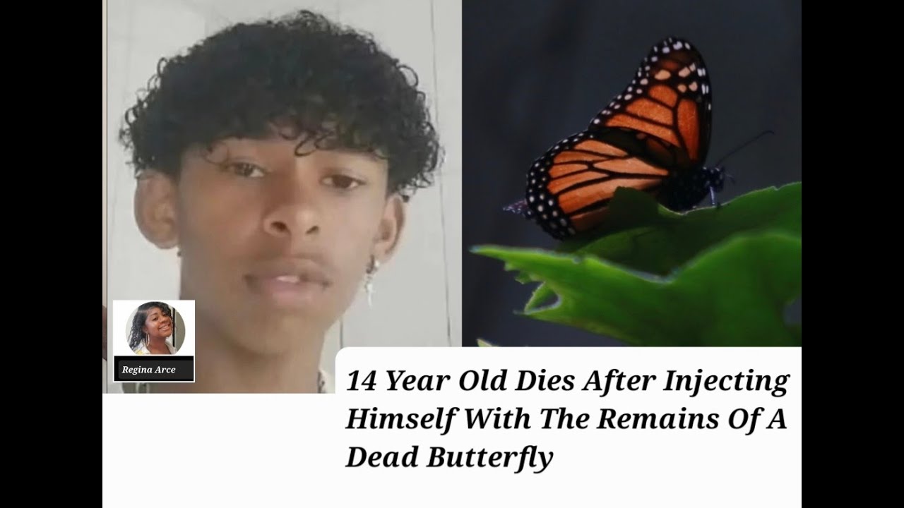 Teen Dies After Injecting Himself With Butterfly Remains