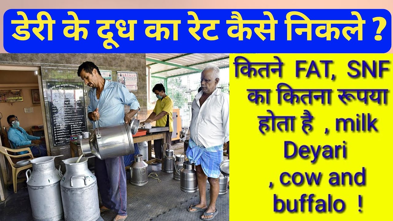 डेरी के दूध का रेट कैसे निकाले/ how to calculate dairy milk rate?
