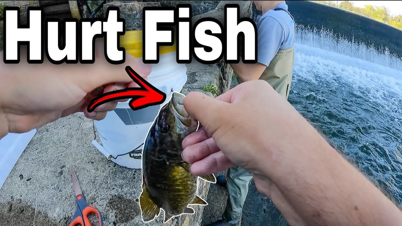 I SAVED THIS FISHES LIFE! (MONSTER FISH)