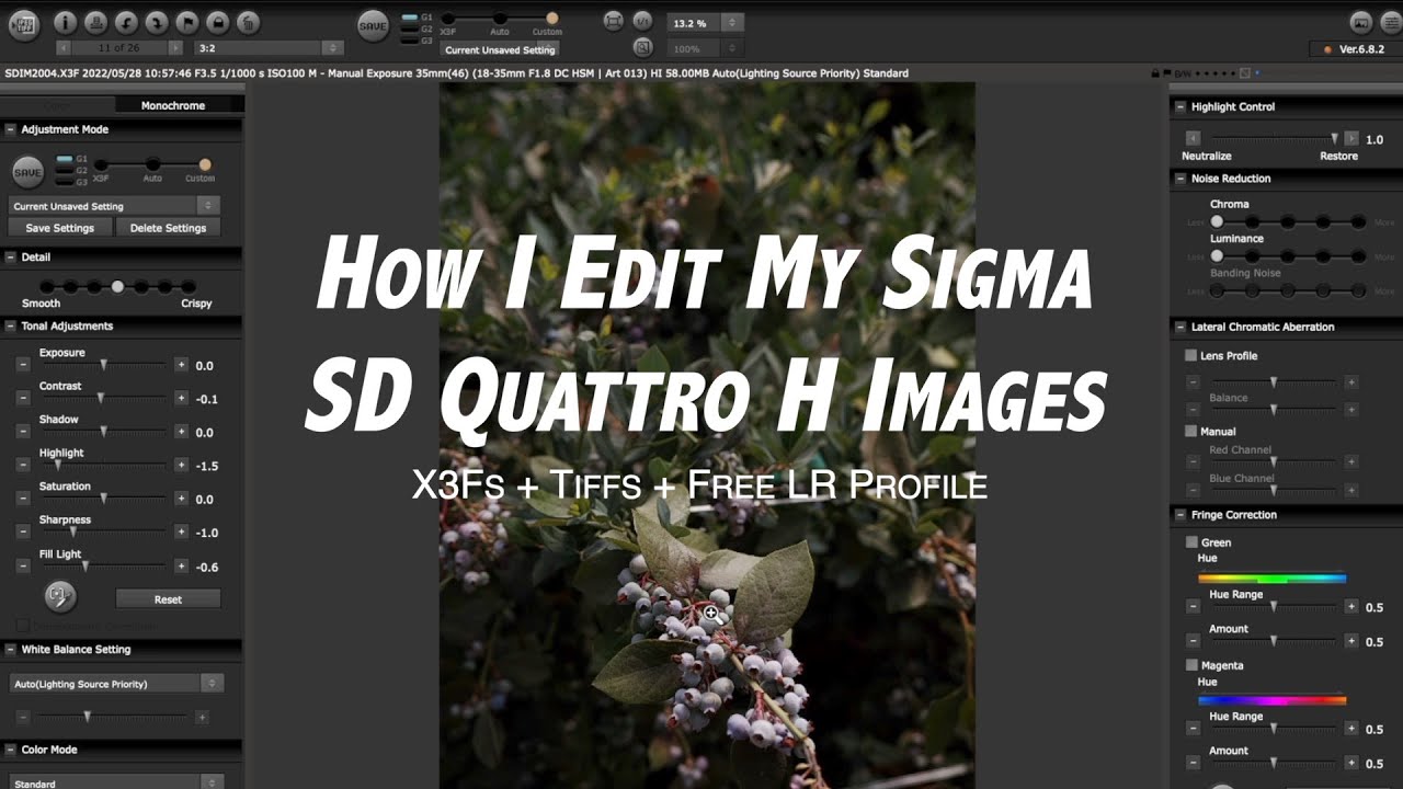 How I Edit My Sigma SD Quattro H Images - X3Fs + Tiffs + Free LR Profile