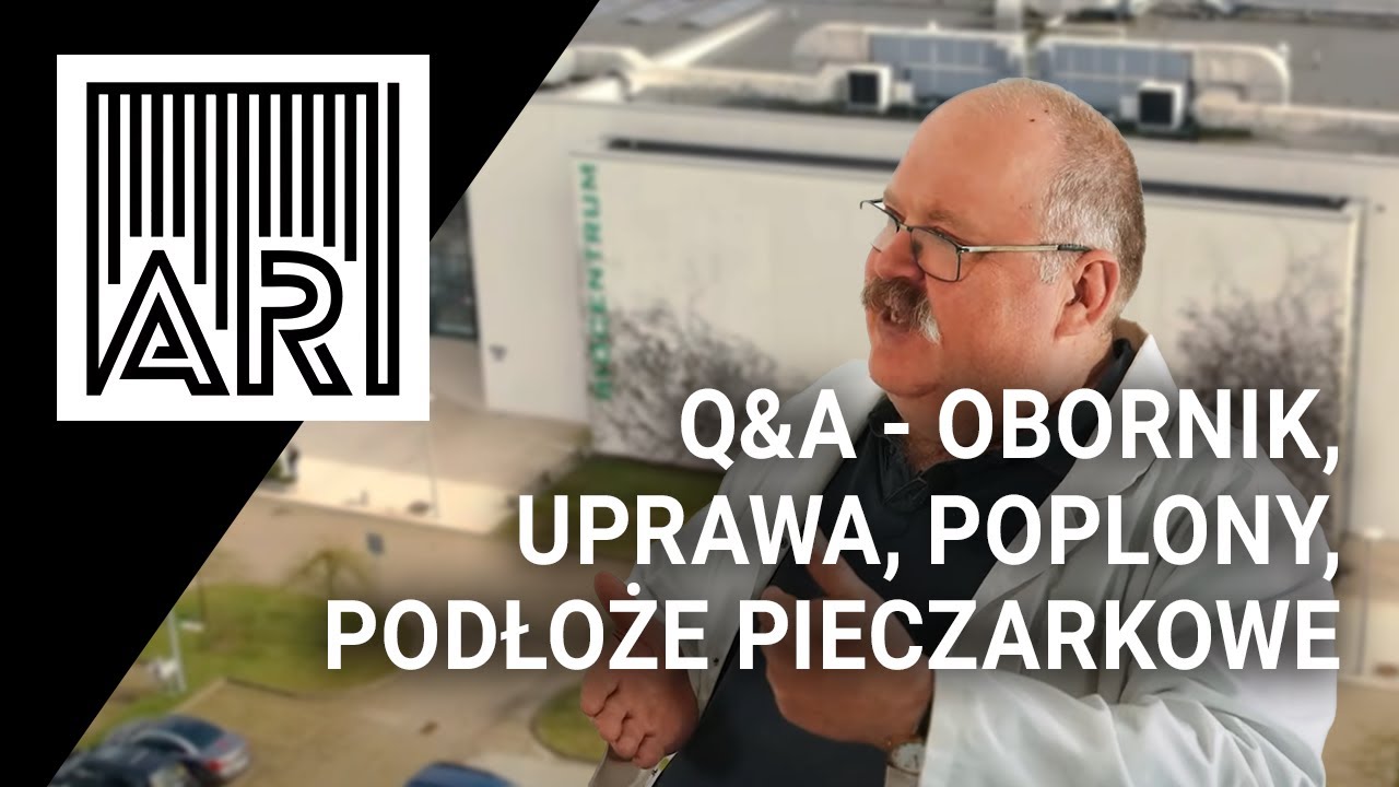 Obornik, uprawa, poplony, podłoże pieczarkowe – Q&A z prof. Piechotą || AR #209