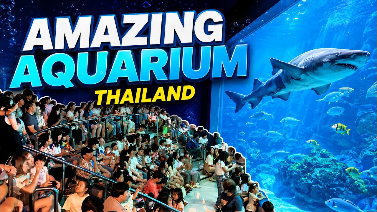 Bangsaen Aquarium the Biggest Aquarium in Thailandd | Tourist attraction near Bangkok 