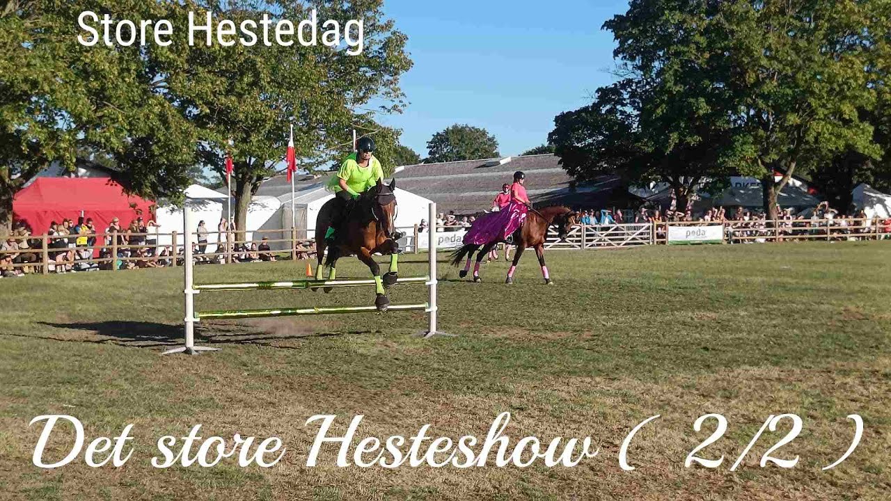 Det store Hesteshow ( 2/2 ) | Store Hestedag