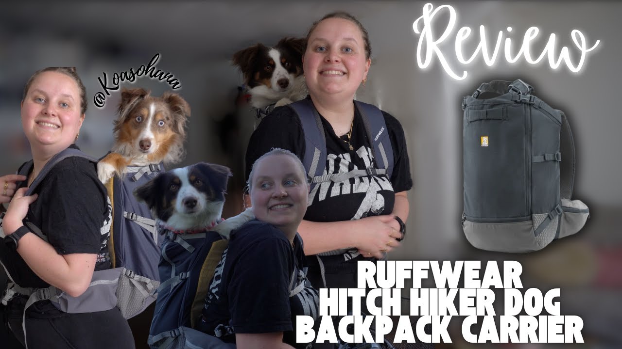 Ruffwear Hitch Hiker Dog BackPack Carrier Review - Koa's Ohana