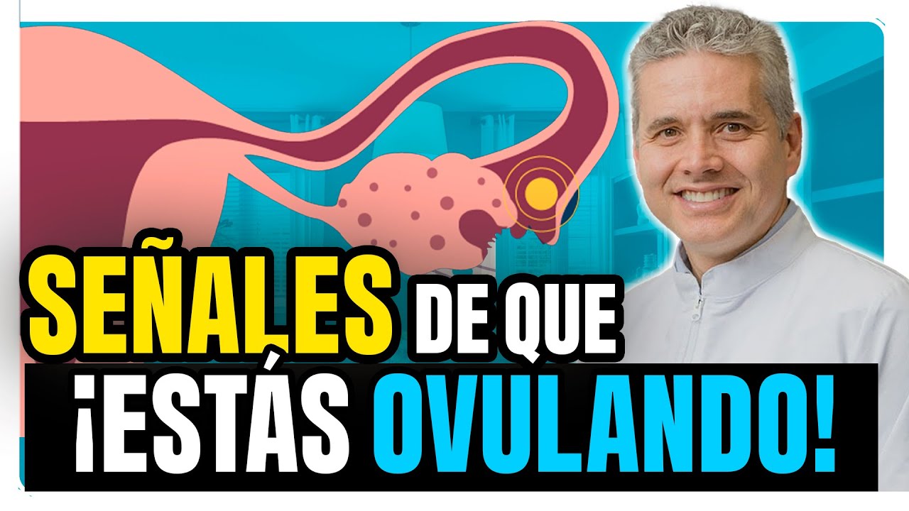 ¿Estaré ovulando? Así puedes descubrirlo - Juan Luis Giraldo