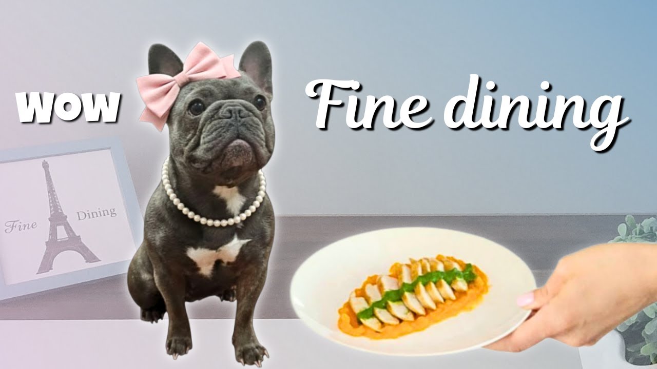 Что больше всего понравилось моей собаке?