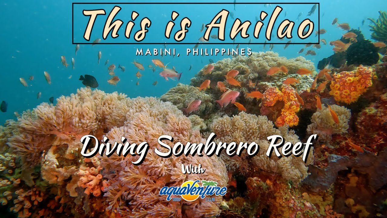 This is Anilao : Diving Sombrero Island Reef