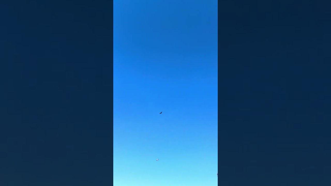 Day 19 flying every￼ day in 2026  flying the E-Flite Slow Ultra Stick