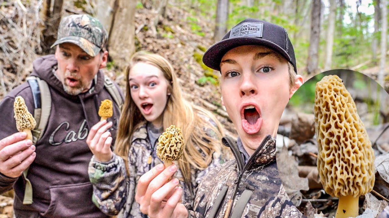 HUGE Tennessee Morel Mushrooms!!