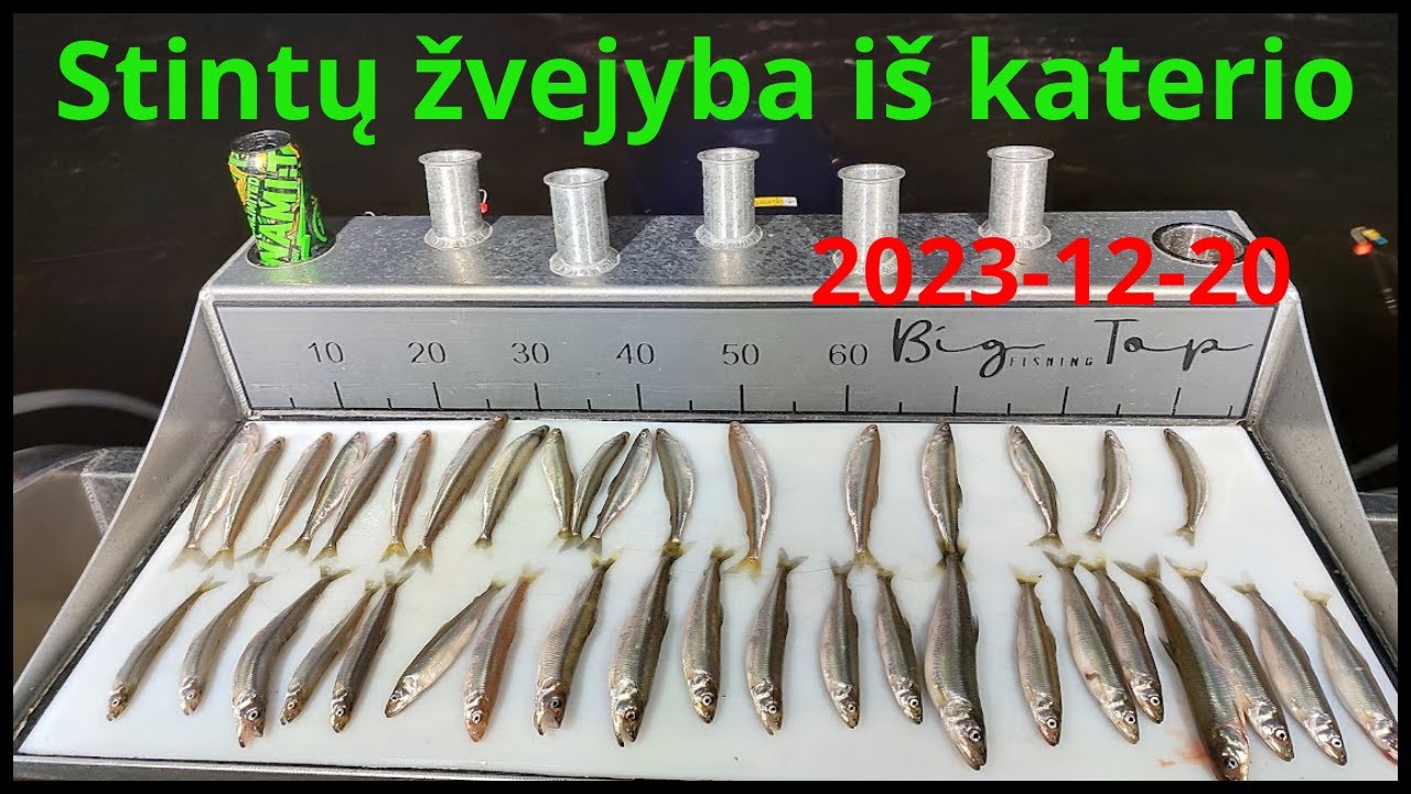 Stintų žvejyba iš katerio kuršių mariose 2023-12-20