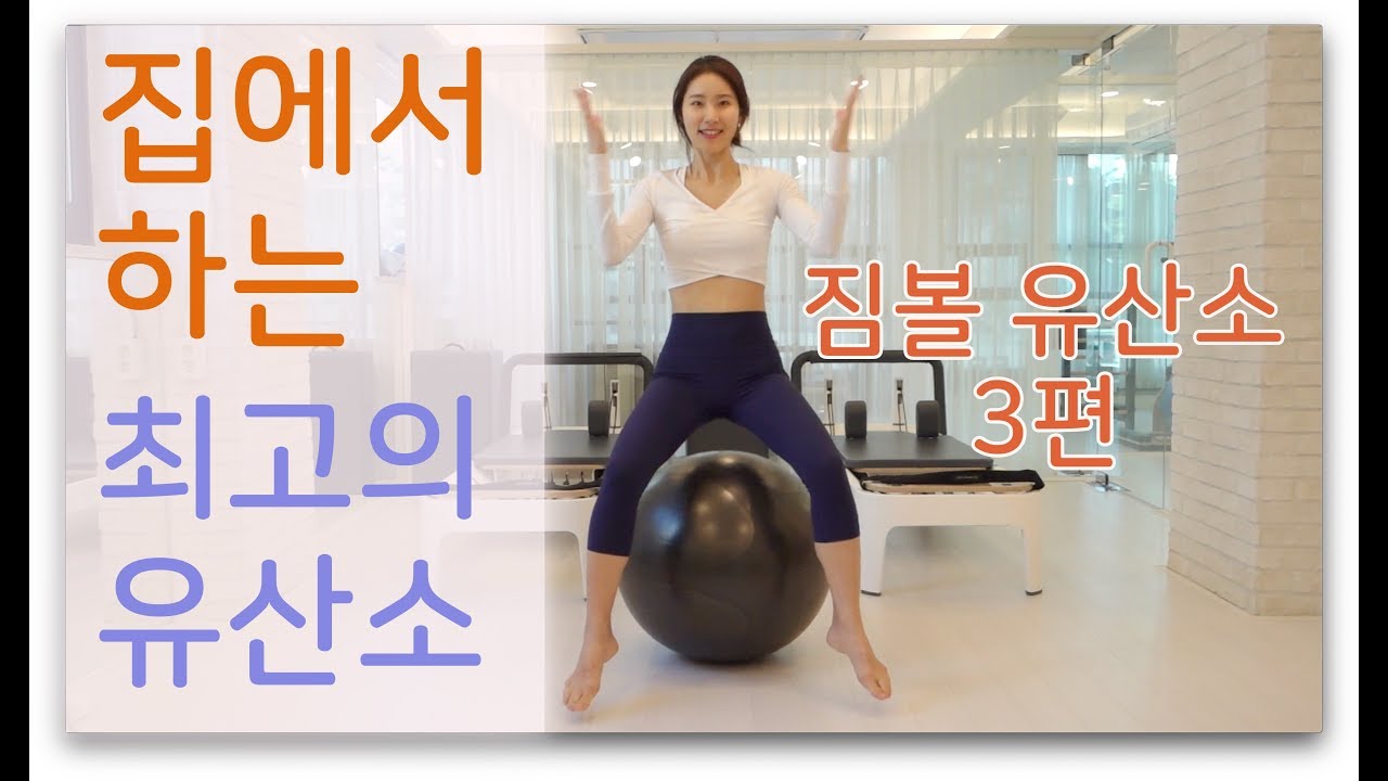 집에서 할수있는 최고의 유산소 짐볼운동 3편
