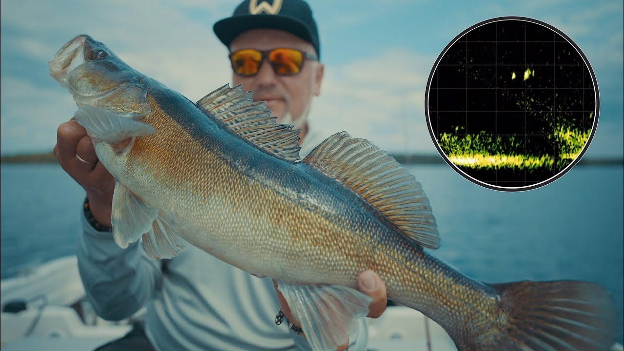 Starkiai su Garmin LIVESCOPE: patarimai, rekomendacijos, realybė Youtube | ŽVEJYBINIS ALMANACHAS