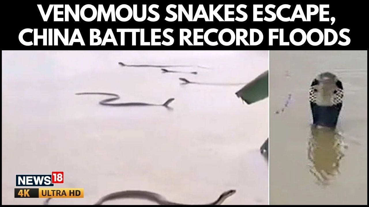 China Battles Typhoon Bavi, Deadly Floods & Escaped Venomous Snakes | N18G